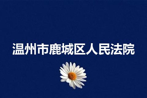 温州市鹿城区人民法院