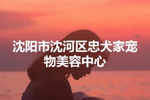 沈阳市沈河区忠犬家宠物美容中心