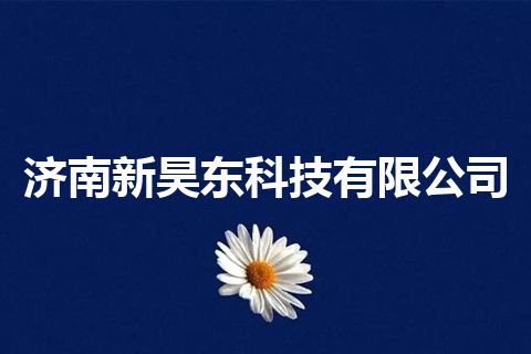 济南新昊东科技有限公司