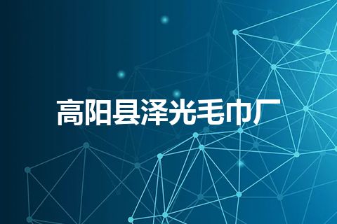 高阳县泽光毛巾厂
