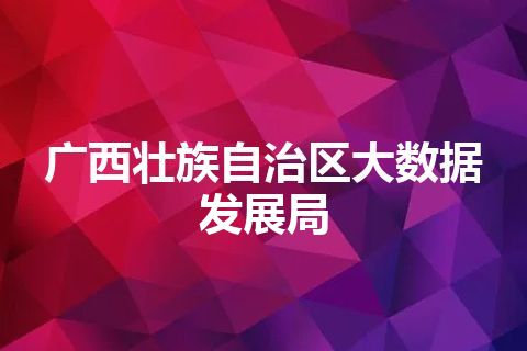 广西壮族自治区大数据发展局