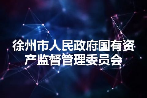 徐州市人民政府国有资产监督管理委员会