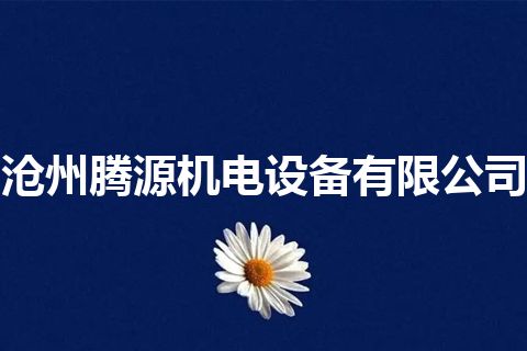 沧州腾源机电设备有限公司