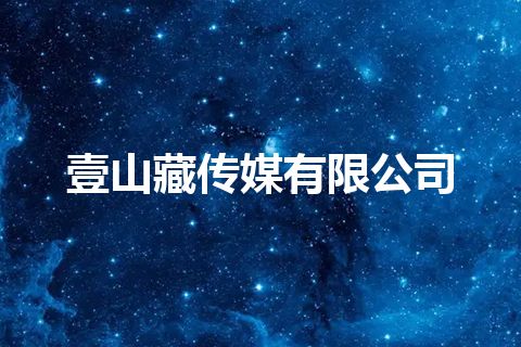 壹山藏传媒有限公司