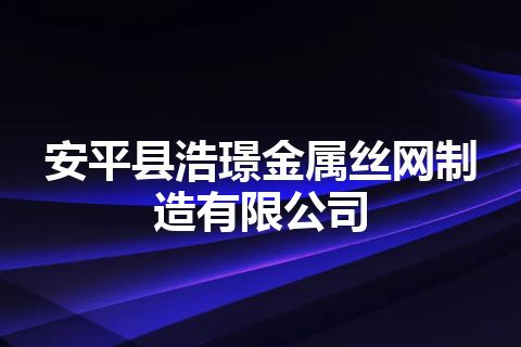 安平县浩璟金属丝网制造有限公司