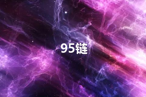 95链
