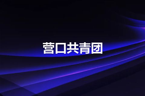 营口共青团