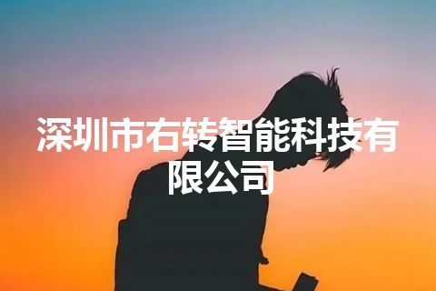 深圳市右转智能科技有限公司