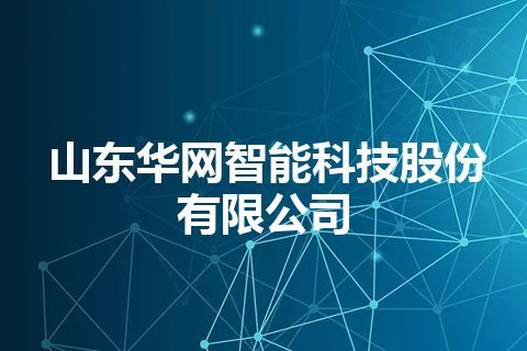 山东华网智能科技股份有限公司 山东华网智能科技股份有限公司