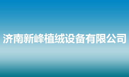 济南新峰植绒设备有限公司