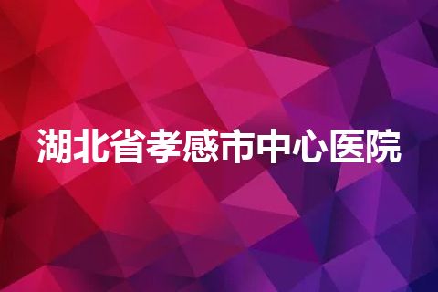 湖北省孝感市中心医院