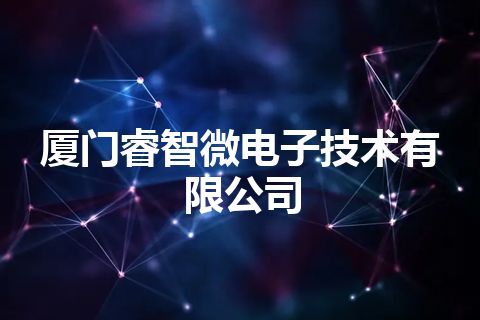 厦门睿智微电子技术有限公司