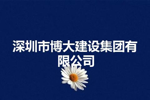 深圳市博大建设集团有限公司