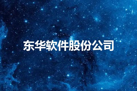 东华软件股份公司