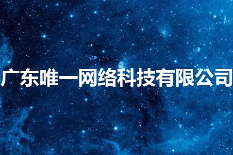 广东唯一网络科技有限公司