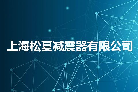 上海松夏减震器有限公司
