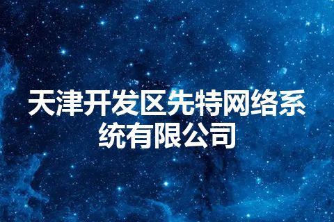 天津开发区先特网络系统有限公司