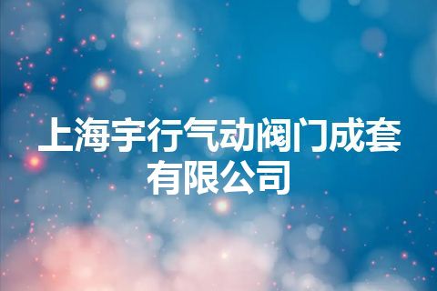 上海宇行气动阀门成套有限公司