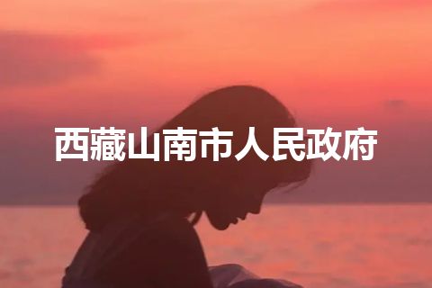 西藏山南市人民政府