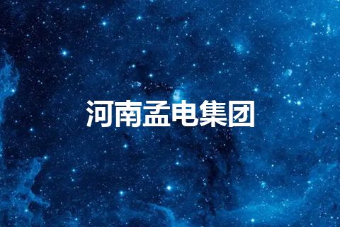 河南孟电集团