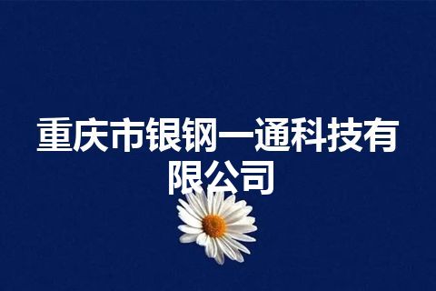 重庆市银钢一通科技有限公司