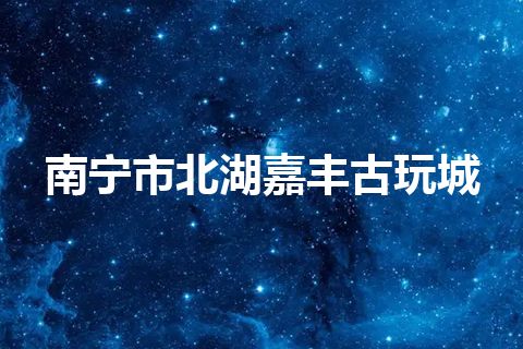 南宁市北湖嘉丰古玩城