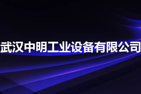 武汉中明工业设备有限公司