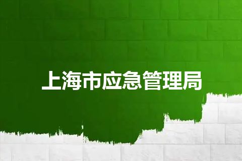 上海市应急管理局