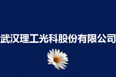 武汉理工光科股份有限公司