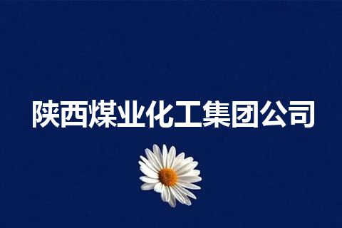 陕西煤业化工集团公司 陕西煤业化工集团公司
