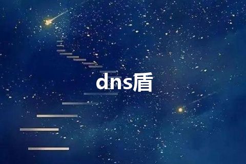 dns盾