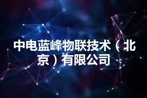 中电蓝峰物联技术（北京）有限公司