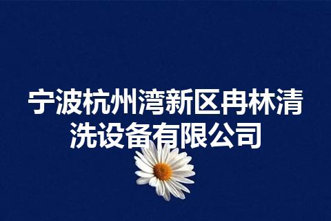 宁波杭州湾新区冉林清洗设备有限公司