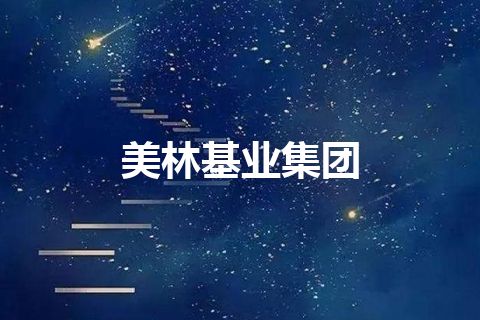 美林基业集团