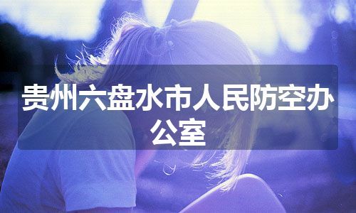 贵州六盘水市人民防空办公室