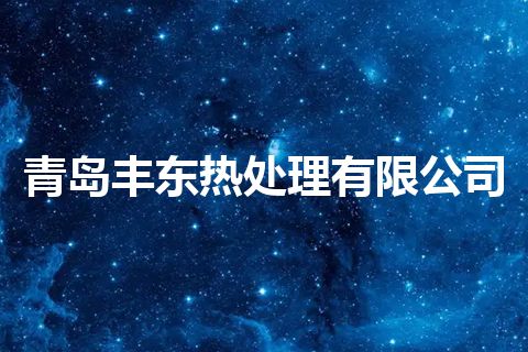 青岛丰东热处理有限公司