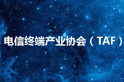 电信终端产业协会（TAF）