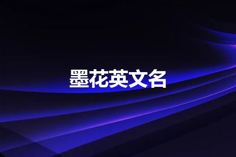 墨花英文名