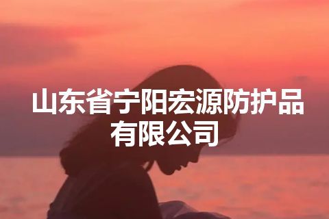 山东省宁阳宏源防护品有限公司