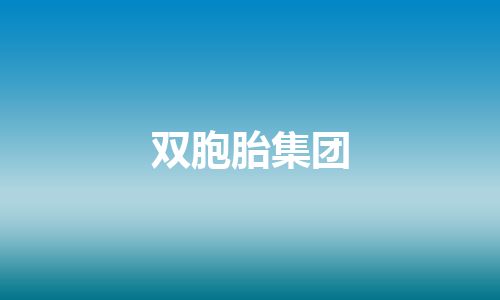 双胞胎集团
