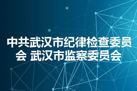 中共武汉市纪律检查委员会 武汉市监察委员会