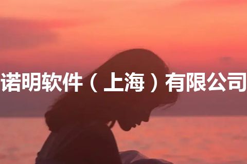 诺明软件（上海）有限公司