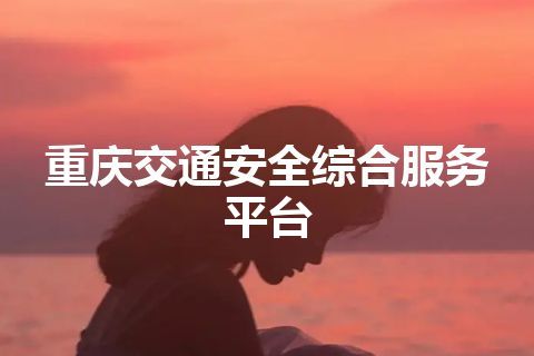 重庆交通安全综合服务平台