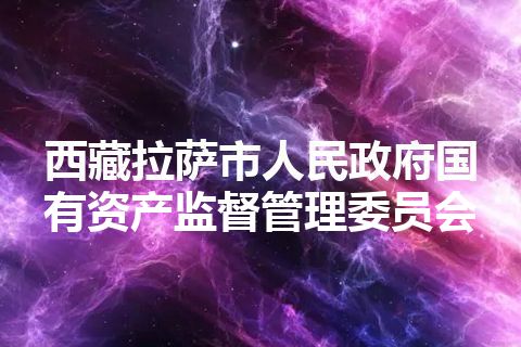 西藏拉萨市人民政府国有资产监督管理委员会
