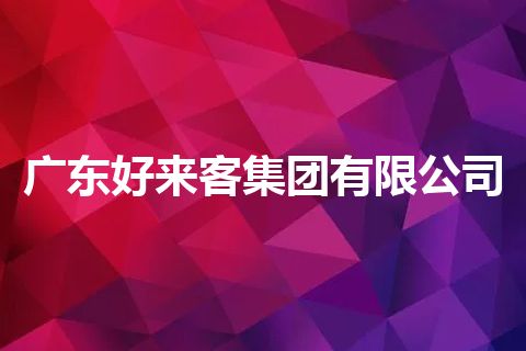 广东好来客集团有限公司 广东好来客集团有限公司