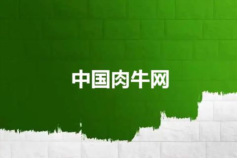 中国肉牛网