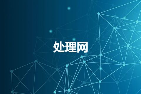 处理网