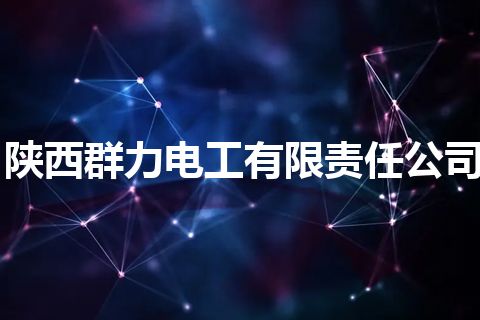 陕西群力电工有限责任公司