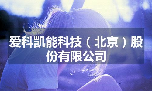 爱科凯能科技（北京）股份有限公司