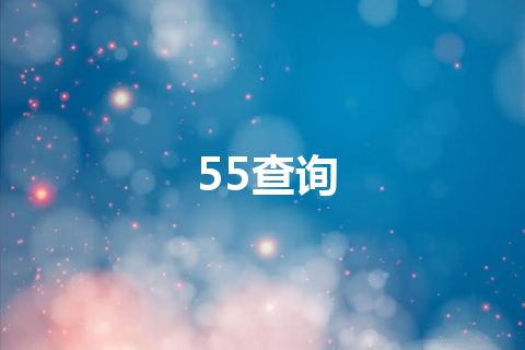 55查询